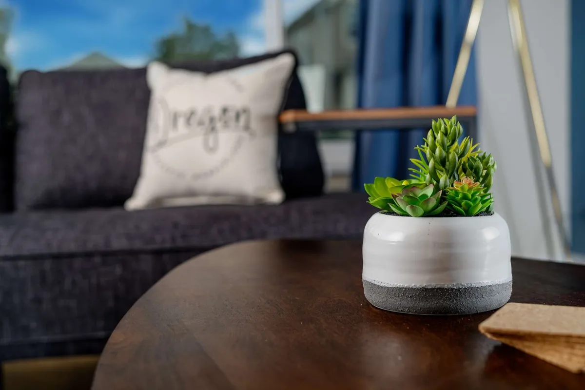 A stylish living area featuring a plush couch adorned with decorative pillows, a wooden coffee table, and a small succulent planter. The space feels cozy and ideal for relaxation or socializing, with a modern yet homey touch.